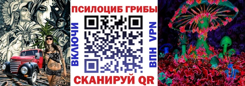 Псилоцибиновые грибы прущие грибы  купить наркоту  Гурьевск 